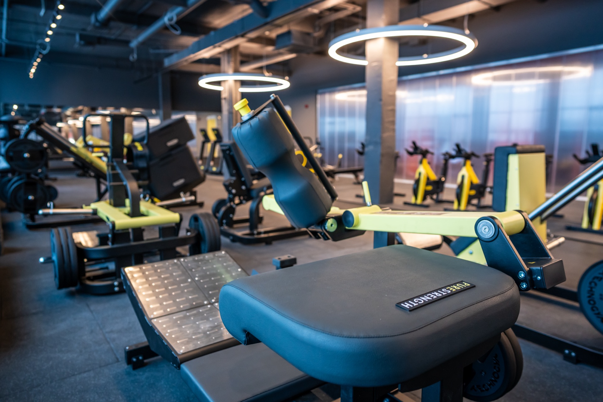 Gym equipment